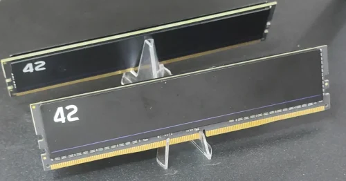 42 U-DIMM RAM View