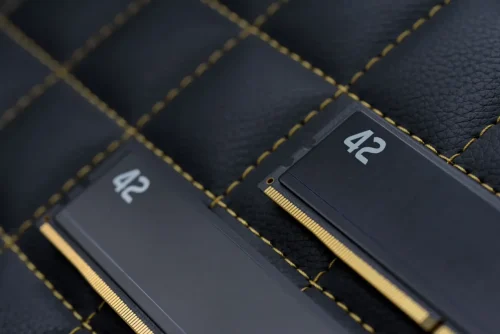 Photo-RAM-Exceleram_42_module side