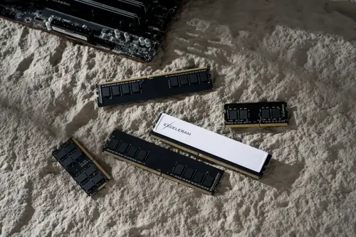 RAM modules resting on sand.